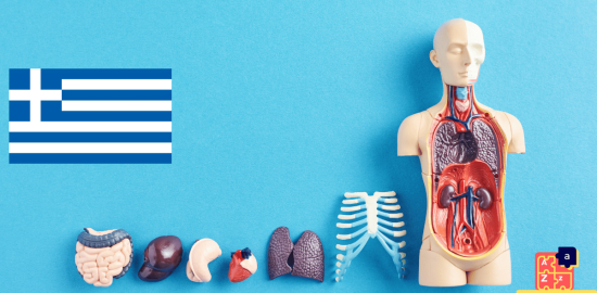 Learn Greek - Human Body Parts