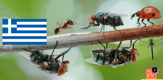 Learn Greek - Insects