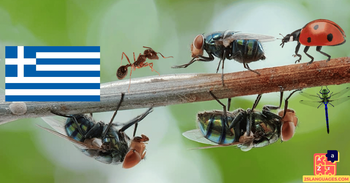 Apprendre le grec - Insectes