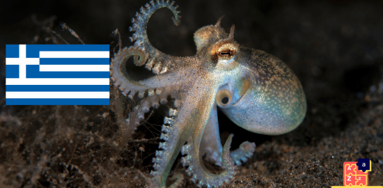 Learn Greek - Names of Marine Creatures