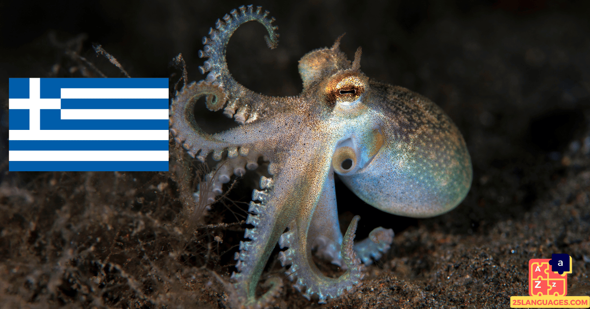 Learn Greek - Names of Marine Creatures