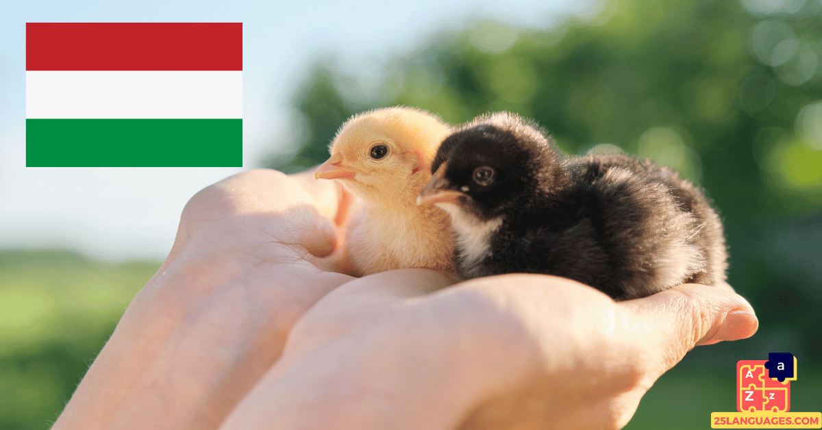 Learn Hungarian - Names of Young Animals