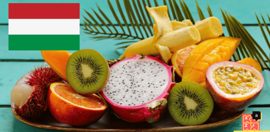 Learn Hungarian - Fruits