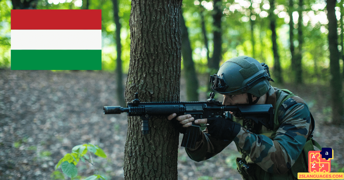 Learn Hungarian - Military System