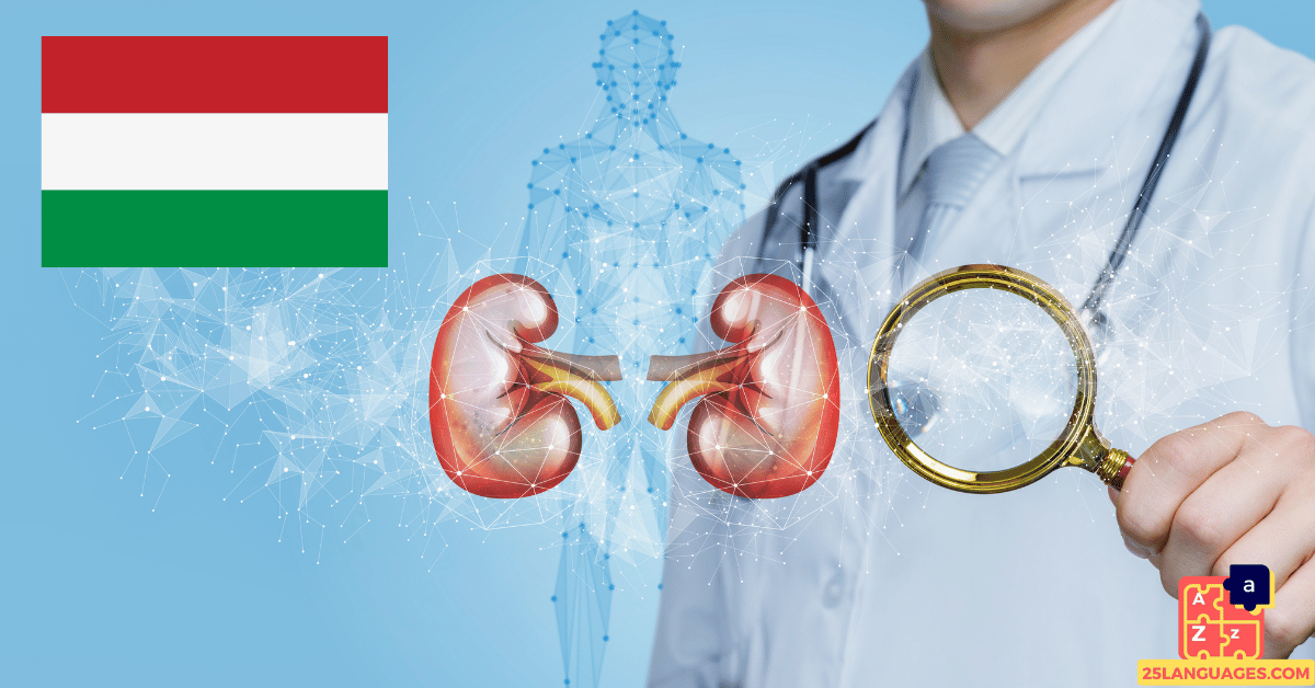 Learn Hungarian - Diseases