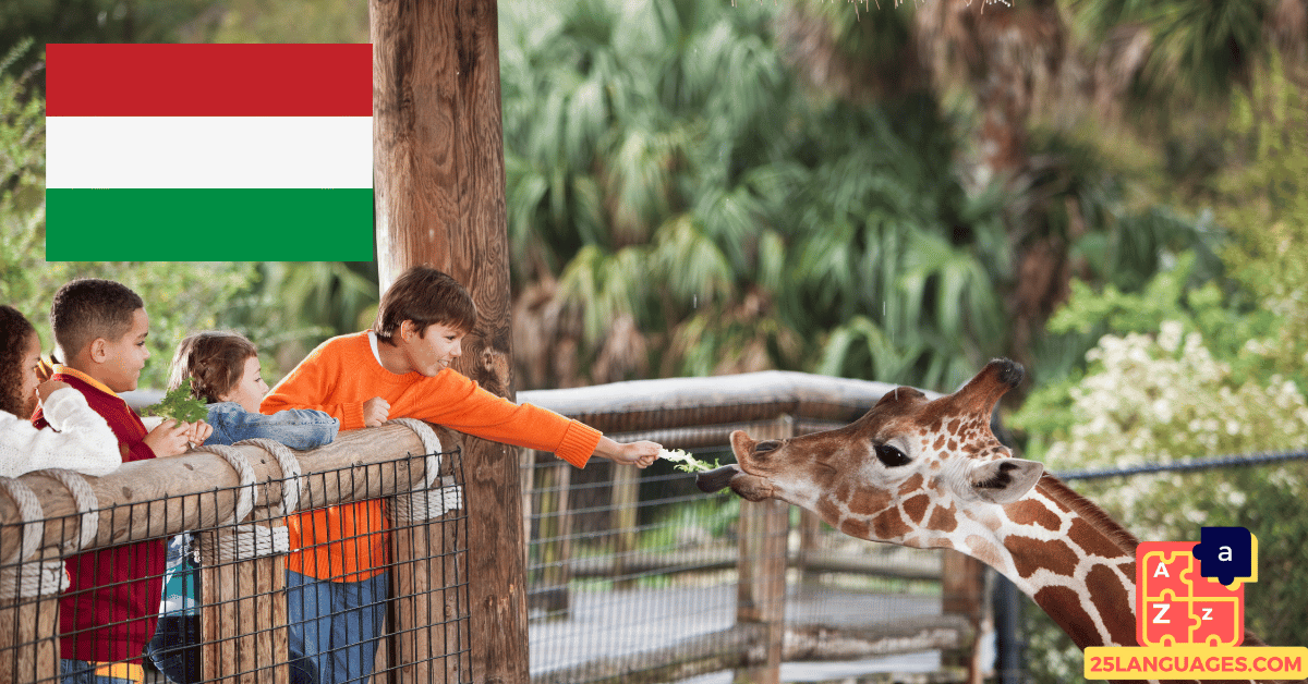Apprendre le hongrois - Phrases au zoo