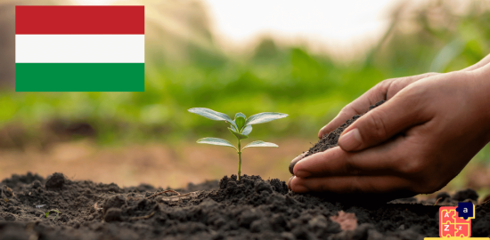 Learn Hungarian - Plants