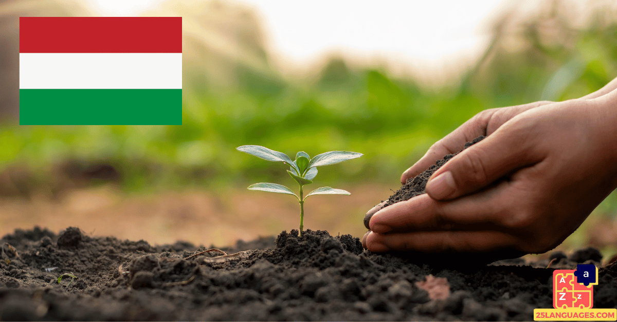 Learn Hungarian - Plants