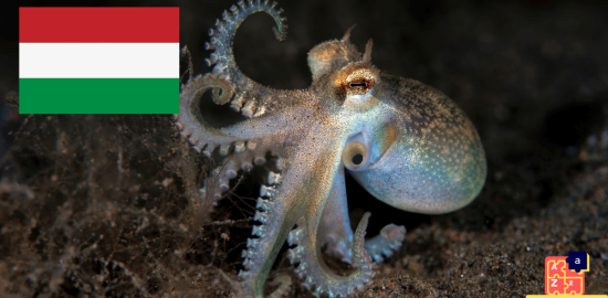 Learn Hungarian - Names of Marine Creatures