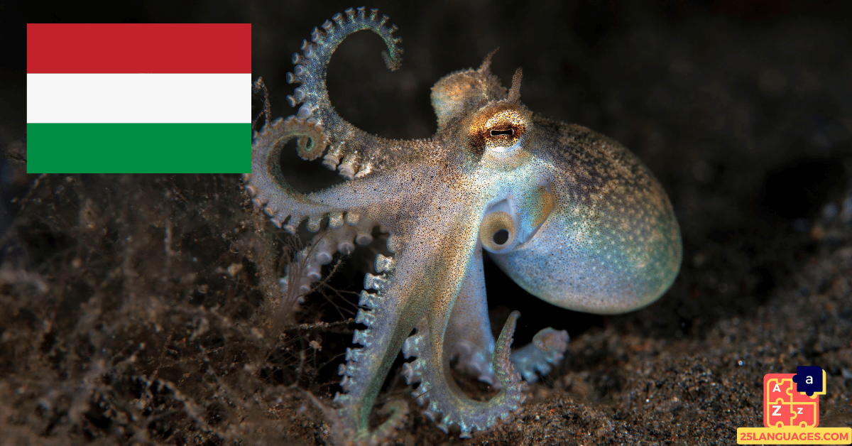 Learn Hungarian - Names of Marine Creatures