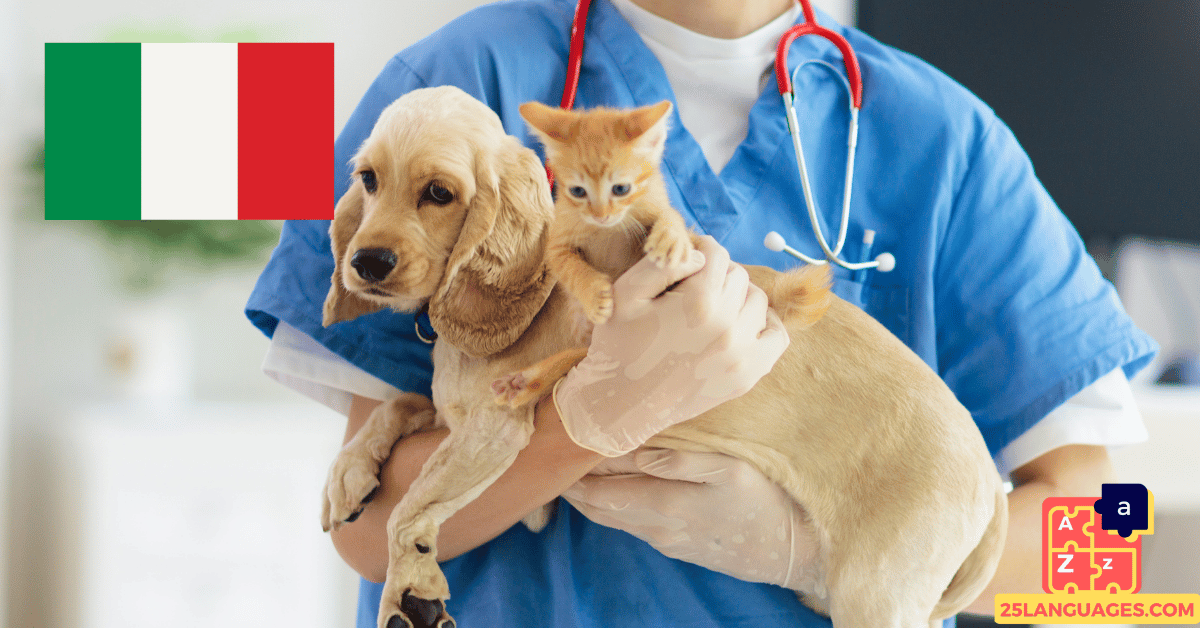 Learn Italian - Phrases At the veterinarian