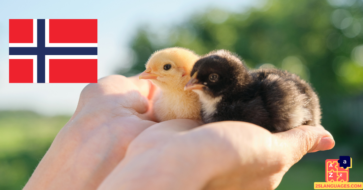 Learn Norwegian - Baby Animal Names