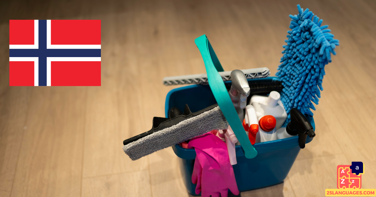 Learn Norwegian - Cleaning Tools