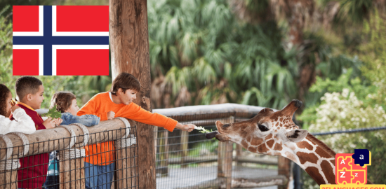 Apprendre le norvégien - Phrases au zoo