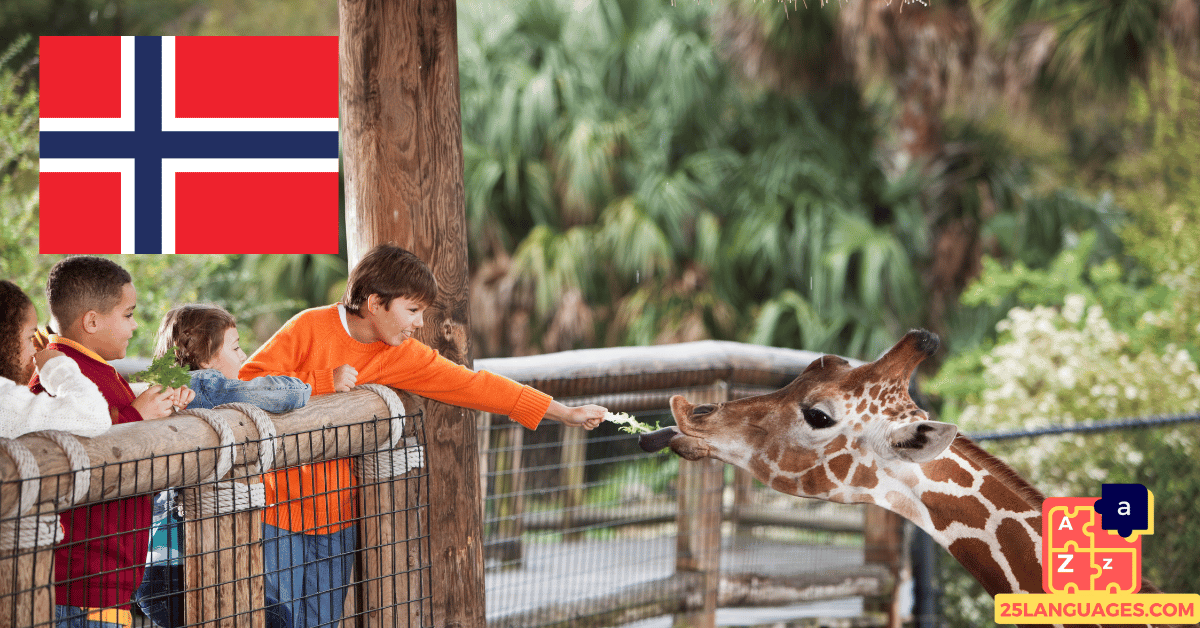 Apprendre le norvégien - Phrases au zoo