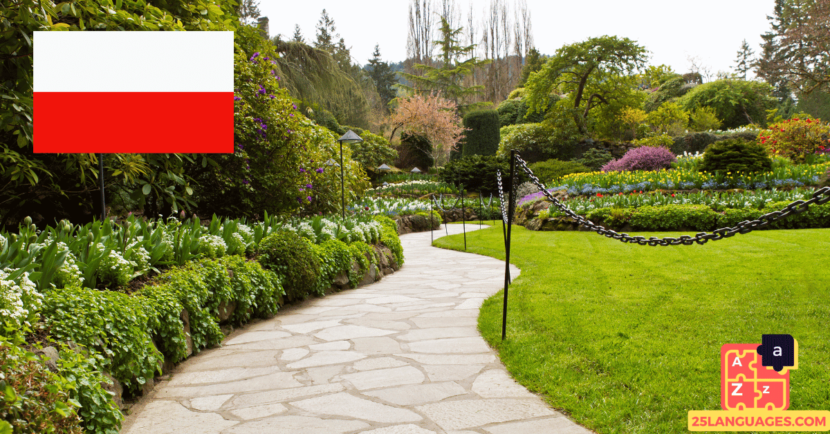 Learn Polish - Phrases in the park
