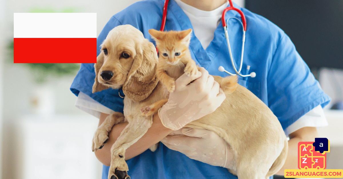 Learn Polish - Phrases At the veterinarian