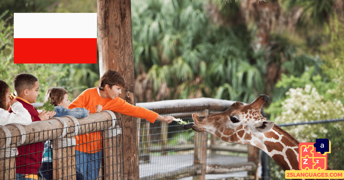 Learn Polish - Phrases At the zoo