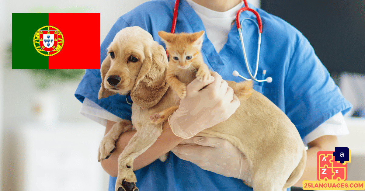 Learn Portuguese - Phrases At the veterinarian