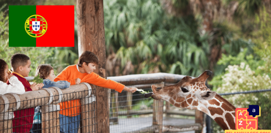 Apprendre le portugais - Phrases au zoo