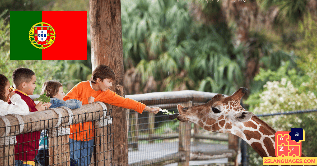Learn Portuguese - Phrases in the zoo