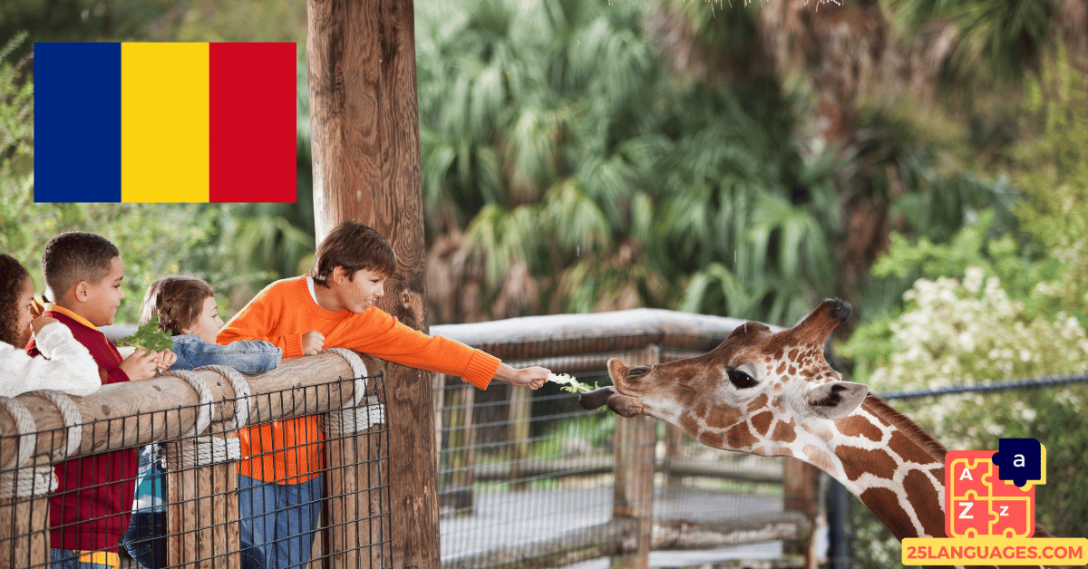 Learn Romanian - Phrases At the zoo