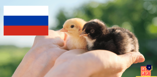 Apprendre le russe - Noms des jeunes animaux