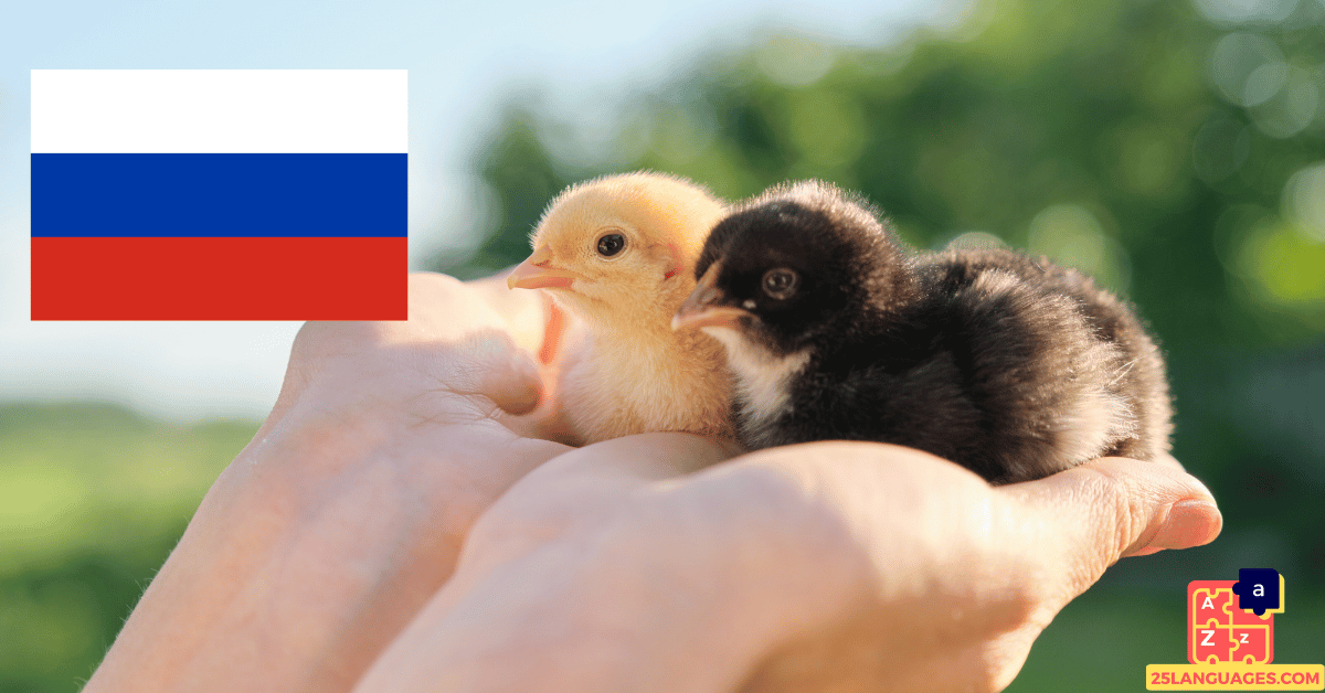 Apprendre le russe - Noms des jeunes animaux