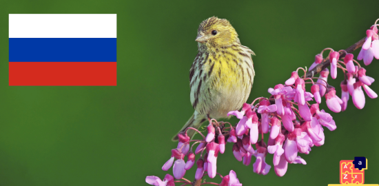 Apprendre le russe – Noms d’oiseaux