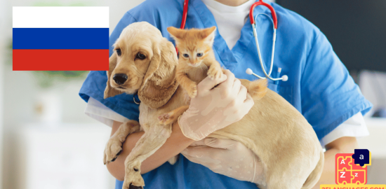 Learn Russian - Phrases At the veterinarian