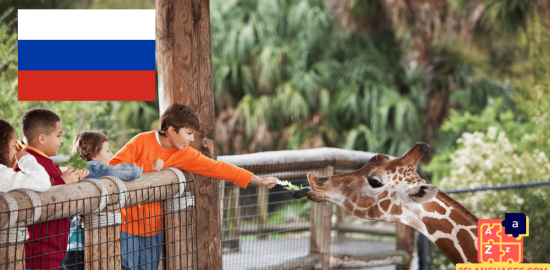 Apprendre le russe - phrases au zoo