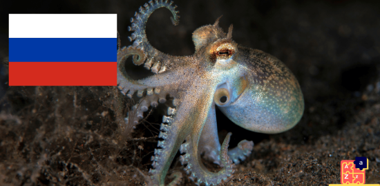 Apprendre le russe - Noms des créatures marines