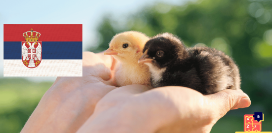 Learn Serbian - Names of Young Animals