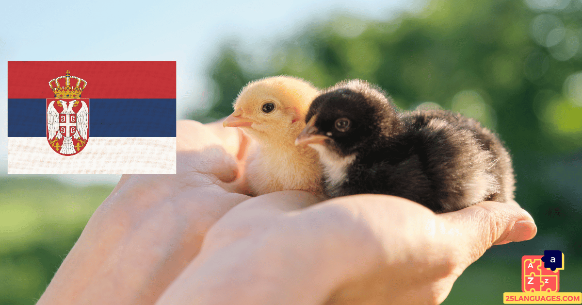 Learn Serbian - Names of Young Animals