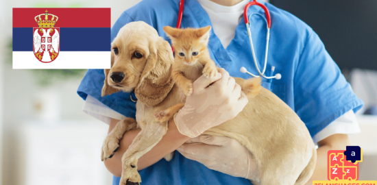 Learn Serbian - Phrases At the veterinarian