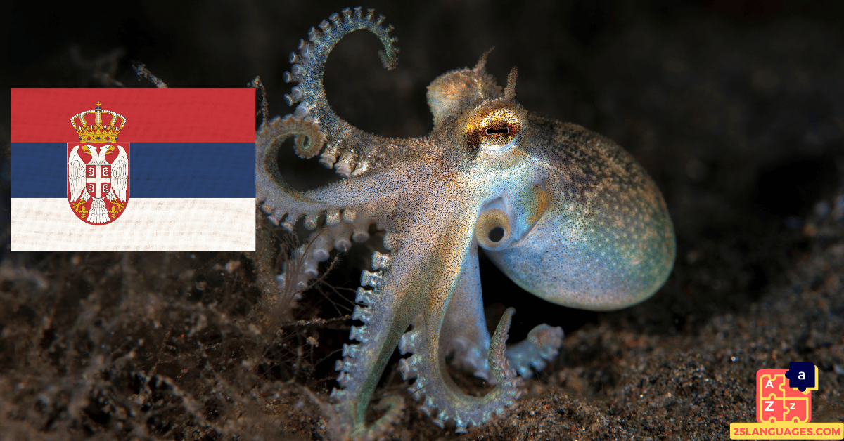 Learn Serbian - Names of Marine Creatures