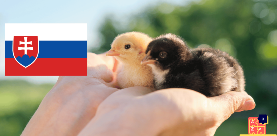 Learn Slovak - Names of Young Animals