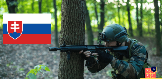 Learn Slovak - Military System