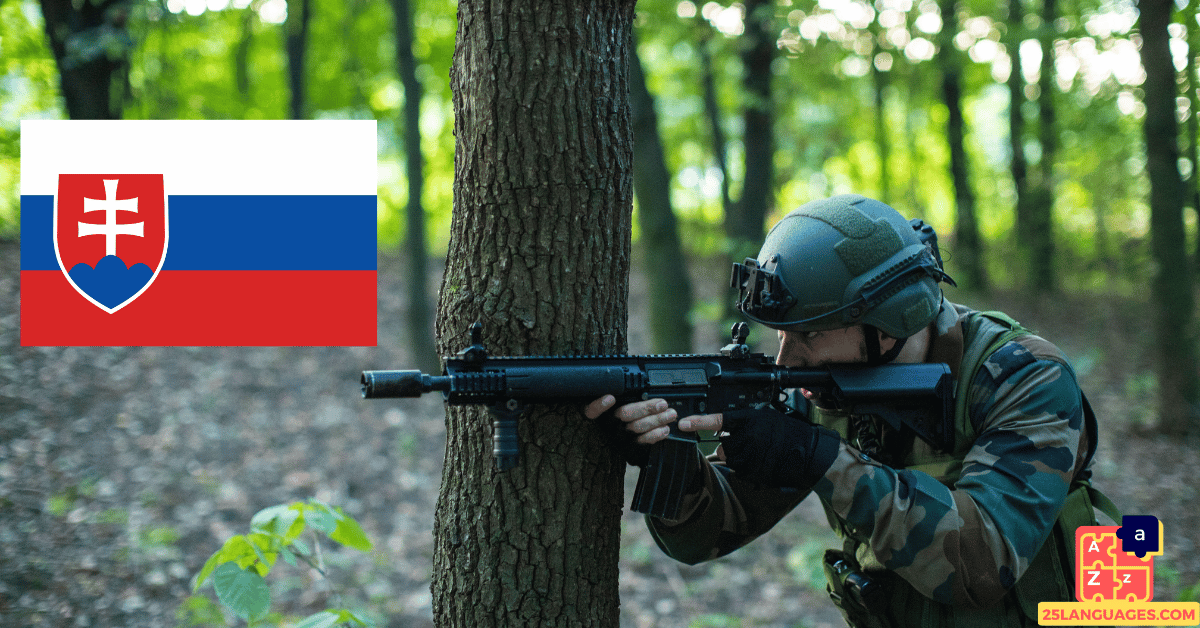 Learn Slovak - Military System