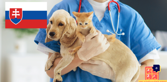 Learn Slovak - Phrases At the veterinarian