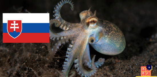 Learn Slovak - Names of Marine Creatures