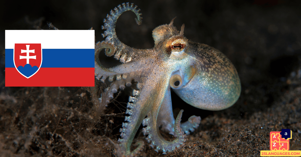 Learn Slovak - Names of Marine Creatures