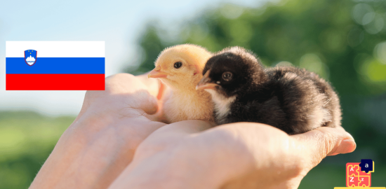 Learn Slovenian - Names of Young Animals