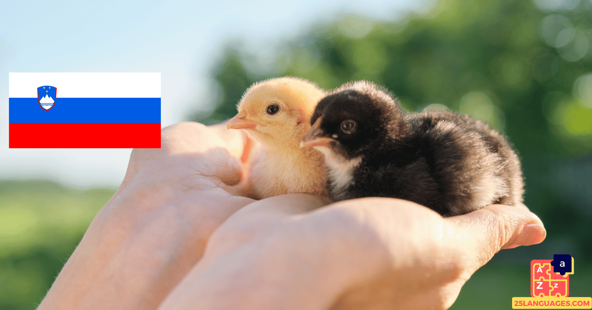 Learn Slovenian - Names of Young Animals