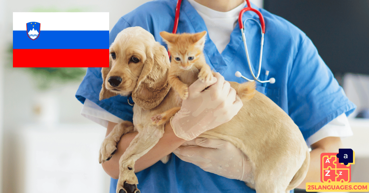 Learn Slovenian - Phrases At the veterinarian