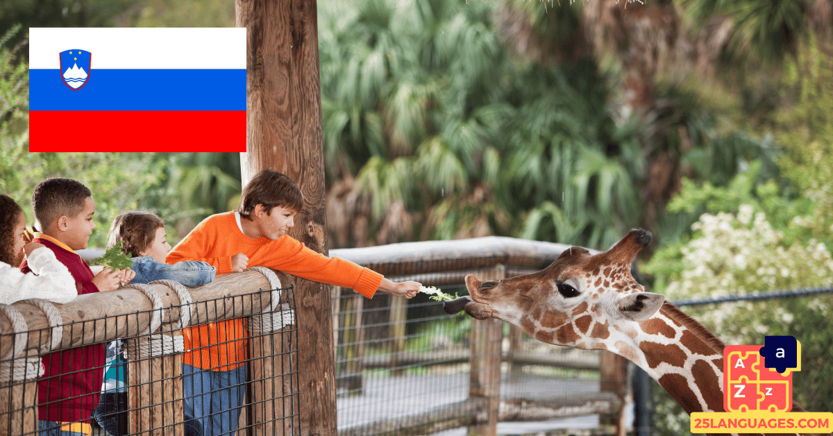 Learn Slovenian - Phrases in the zoo