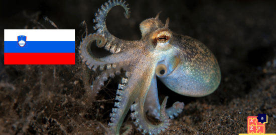 Learn Slovenian - Names of Marine Creatures