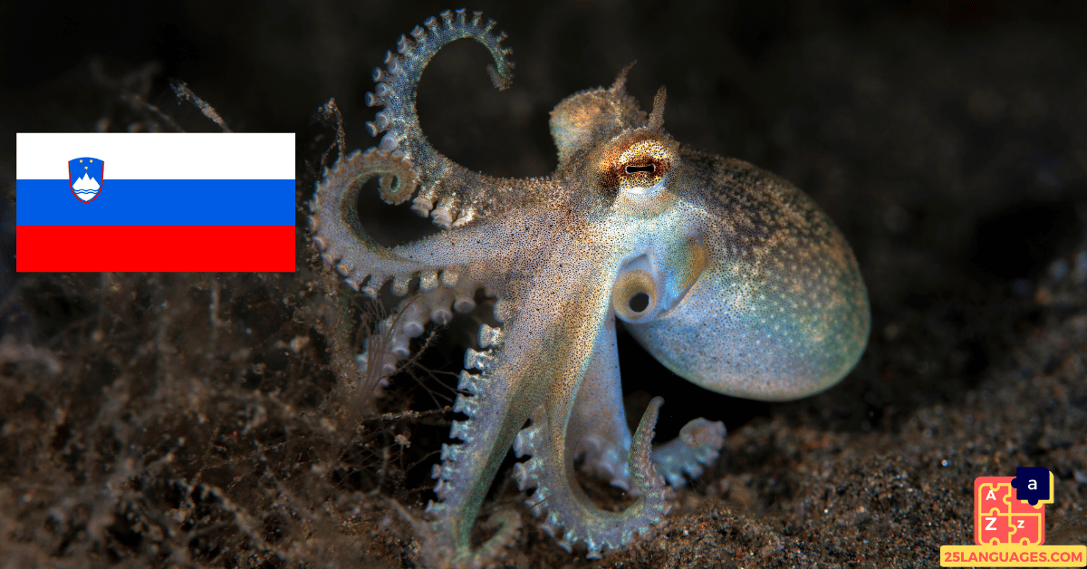 Learn Slovenian - Names of Marine Creatures