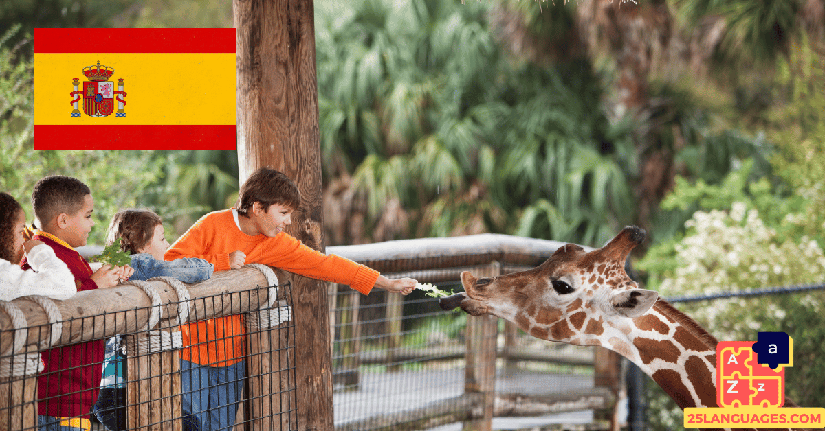 Learn Spanish - Phrases At the zoo