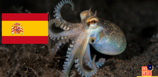 Learn Spanish - Names of Marine Creatures